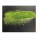 Paillettes polyester métalisées 60 gr - Vert
