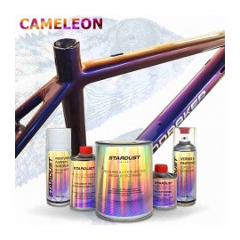 Kit complet pour vélo - peinture à effet caméléon